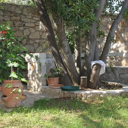 With A Parking Space Preko, Ugljan - 8428 Apartament